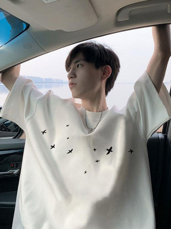Pure Cotton Round Neck Short-Sleeved T-Shirt for Men in Summer, American Trendy Design, Loose Swallow Print Pullover Half-Sleeved Top