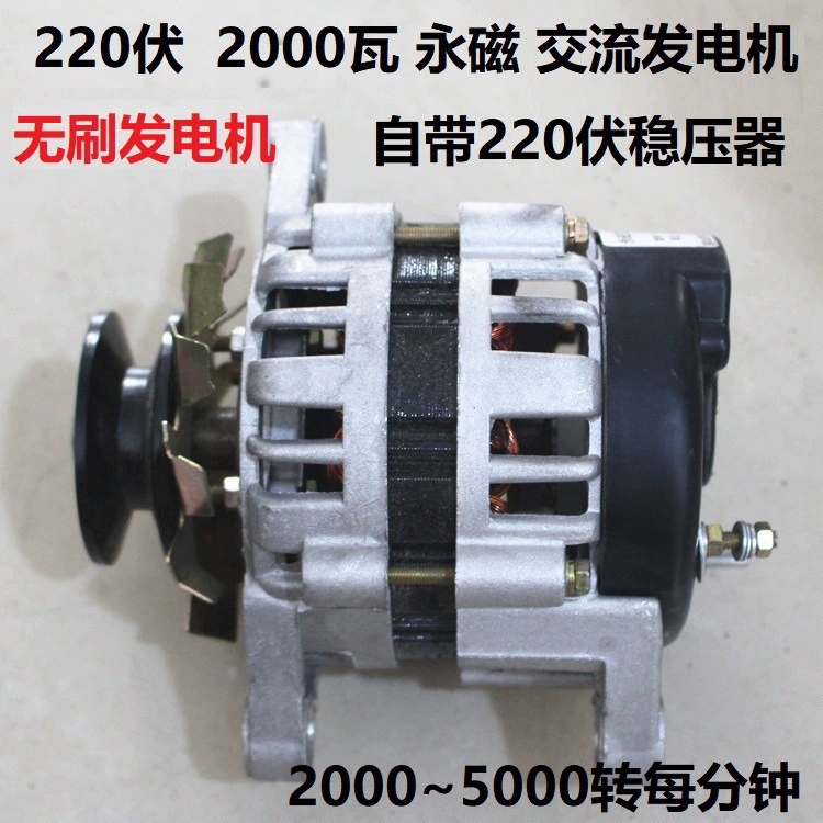 Gears, copper brushless engine, 220v, 2000W, high power, generating electricity