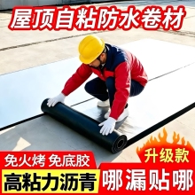 屋顶补漏材料sbs防水卷材楼顶涂料自粘屋面房顶沥青免火烤油毛毡