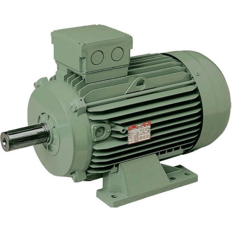 优势供应 意大利原装进口 FIMET HVM HVC系列 中压电机