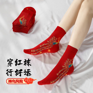 �Ї��L���P�t�m��Ů��������m��Ͳ�m�tɫ�¿��ﶬ����ɐ��L�m