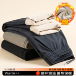 �����ٸɼ��޿����п�2025�ﶬ���¿��ɽ���ֱͲ�����п���Ӷ�