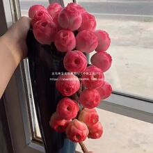 �u��ɽ��õ��ˮ����õ��Ү�_��ɽ����������ֲ���ݗ����������