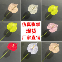��cС���ƻ��Q��Ʒ�|�ָз��滨��Y�b�����[�O��ˇ�zӰ����
