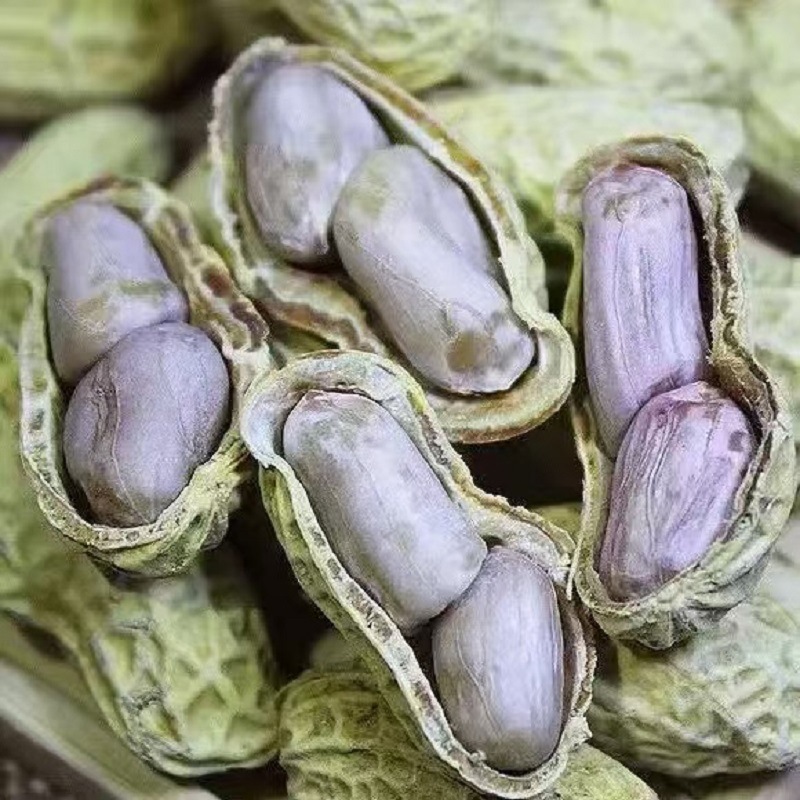 삶은 말린 땅콩 500g