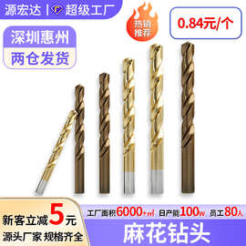 镀钛高速钢麻花钻头打孔专用含钴麻花钻头高硬度直柄电钻小转头