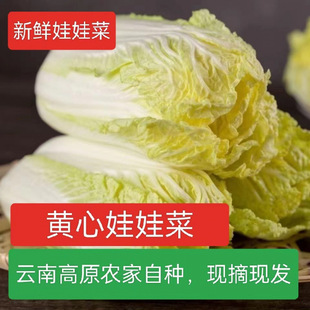 �S�����޲˸�ɽ���޲����r�����r�۴����偲��S�����r�߲��r�Ҳ�
