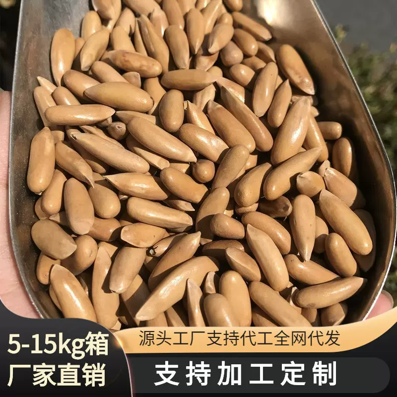 新货 巴西松子手剥松子散装巴西松子 开口松子批发 10斤/箱