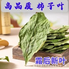 柿子叶中药材500g克新鲜干货柿叶茶秋后柿子叶柿叶霜后柿子树叶茶