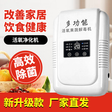 多功能活氧果蔬机家用负离子活氧机果蔬清洗净化器果蔬祛除残留物