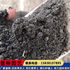 Factory wholesale bulk engineering greening plantation soil humus soil peat and carbon soil improvement soil quality anti -quality