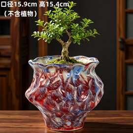 ins风陶瓷花盆家用绿植多肉盆包邮现货大口径花口高颜值花盆