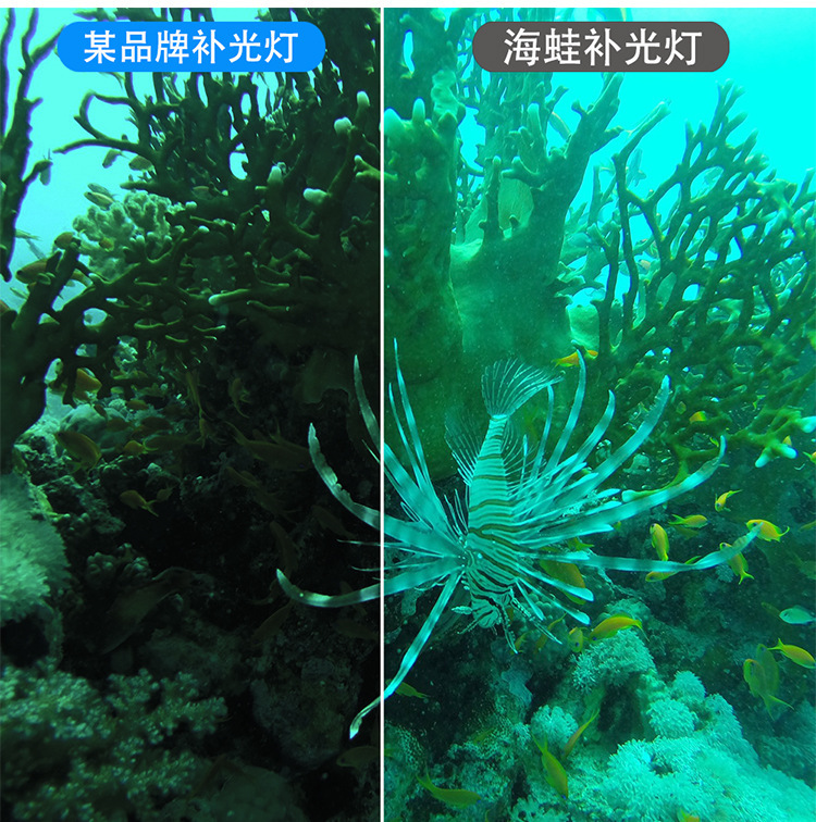 101详情图片 (10).jpg