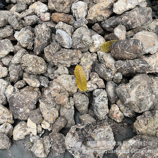 Factory Supplies Natural White Cracked Stones, South American Rainforest Tank, Fish Tank, Grass Tank, Landscaping Decorative Stone Ornaments