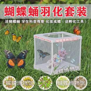 �����Ӽ�ɷ���������xС�͌����B��ͯ���նY����������b