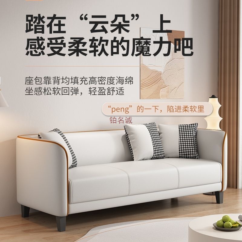 ソファーの小さい部屋型の賃貸住宅の小さいソファーは軽くて豪華な客間の家庭は簡単で現代のマンションの2人の科学技術の布のソファーです。|undefined