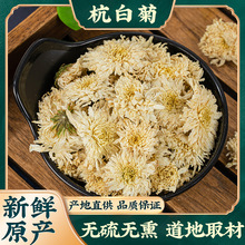 正品杭白菊中药材菊花茶浙江杭州桐乡朵菊花药用散装白菊正宗泡茶