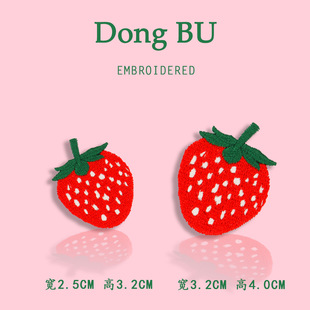 ��ݮ�̽��C���N�·�diy�r����q�����a���b��a���NС̖��ճ���z