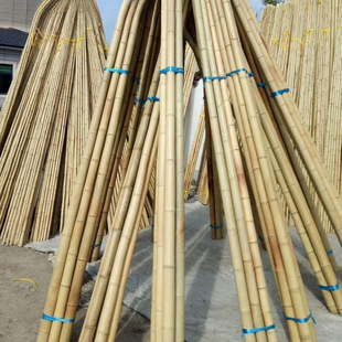 ��������b��S�ּ�����Ӷ��ǲˈ@�S�ϴ�ܲ˼�����U���