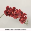Silk cloth European -style phalaenopsis dark red
