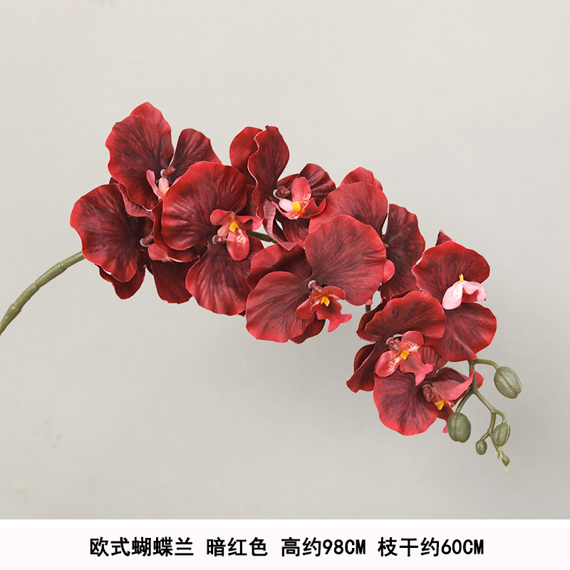 Silk european phalaenopsis dark red
