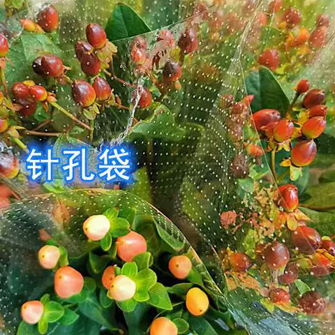 全透明鲜花包装袋带透气孔满天星花束袋微孔袋保鲜针孔花艺套袋