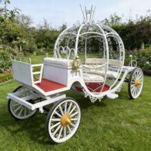 �Wʽ�����Ϲ��R܇����늄��^��܇�ҹ����R܇Pumpkin Carriage