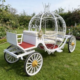 �Wʽ�����Ϲ��R܇����늄��^��܇�ҹ����R܇Pumpkin Carriage