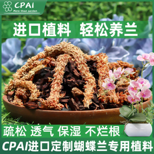 �����m�������m��ֲ������ëë�xˮ̦�����m�M���ɘ�Ƥ�����ֲ��