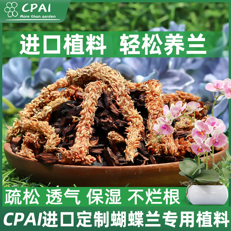 Phalaenopsis special earth orchid planting material Chile caterpillar water moss New Zealand imported pine bark mixed planting material