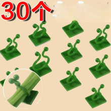 ��֦�̶����¼��������ϻ��ܾGֲ���������FƤʯ�����ۿ����