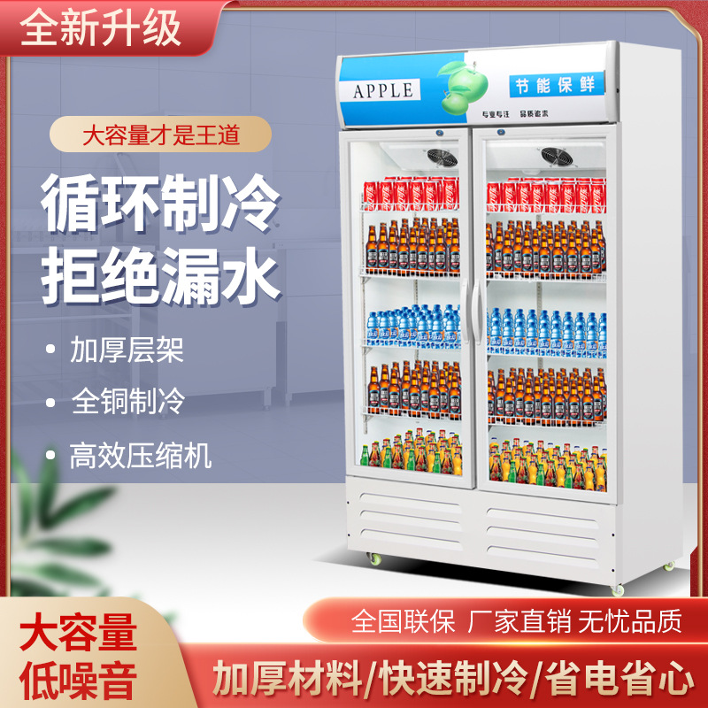 外贸出口立式商用冰箱单门保鲜柜冷柜双门啤酒柜