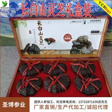 厂家批发赤灵芝东北特产野生紫灵芝实木礼盒装节日滋补礼品代发