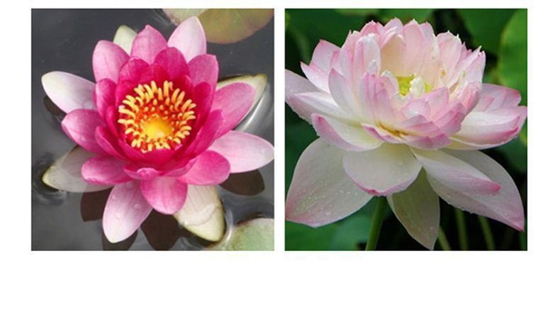 7bb1101b-b623-44b4-9a3c-ad6ae1883450.jpe