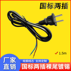 純銅国家標準2ピン2芯電源コード42007平型プラグ裸線尾錫メッキ溶接線250ワット