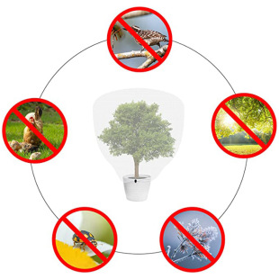 ���R�d�羳ֲ�����ڳ��K���ڷ��x�W�� 60Ŀ����x�W�������x�W��