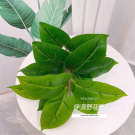 仿真绿植 过胶手感叶子植物墙背景装饰插花榕树 橡皮叶橡皮树假树
