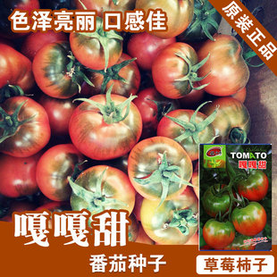 ���ѷN�����t���N�ӷ������߲˷N�����l�N�ӹ�˾�˷N����