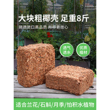 �Nֲ���@ˇ�u���w��Ó�}�m��ֲ��ʯ�������m������Ҭ�uҬ���I�B