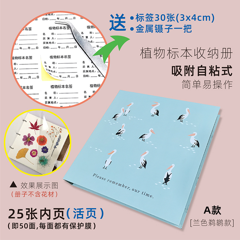 블루펠리컨(A형) 표본은 포함되지 않습니다.