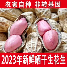 传统糕点;西式糕点;饼干