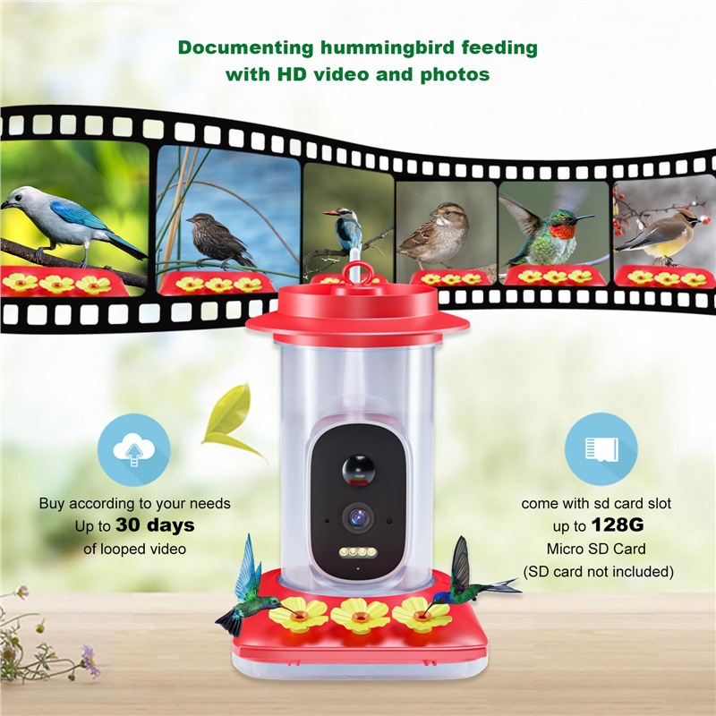 Haobo Source Smart Hummingbird Water Feeder 4MP HD Visual Outdoor…