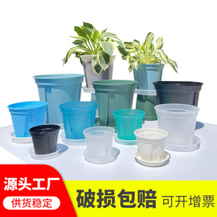 Transparent Root-controlled Green Mountain Pot Breathable Phalaenopsis Plastic Flower Pot Rose Flower Planting Pot White Thickened Gallon Pot