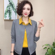 llֱ2025b＾rмكɼٴ|pgŮb