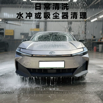 Automobile anti-insect net net grille radiator protection