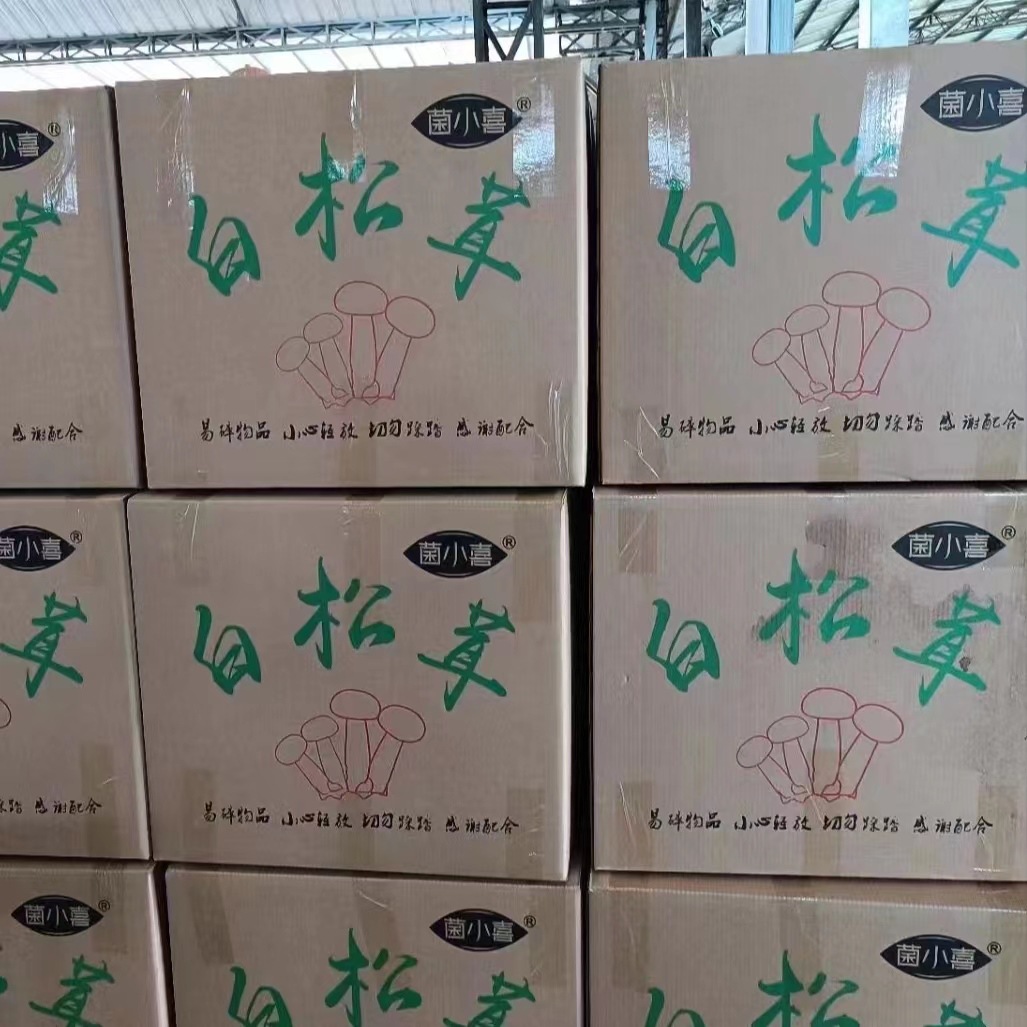 e3c51b8a707e11cf69d7de8e013789