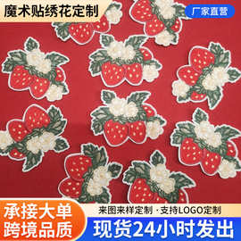 卡通草莓可爱电脑绣花标 跨境平台货源服帽手账本diy热熔胶装饰贴