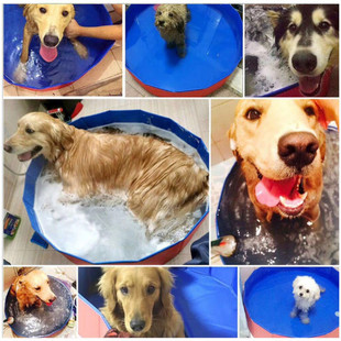 Pet Bath Tub Foldableable Large Dog Golden Retriever Dog Special Swimming Pool Bathtub Bath Bucket Cat Bath Tub