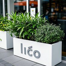 ���P䓻���M�����������^�̘I�V��ͥԺ������\�廨�۸�����[