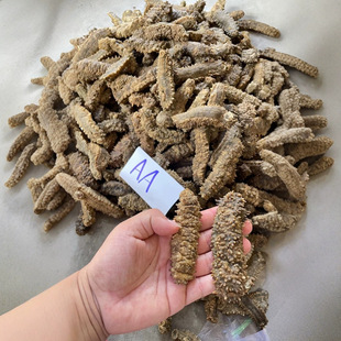 �����}�S�� ���S�� ���� 4-6�lһ�� ��̖ˮ�l���� �|����
